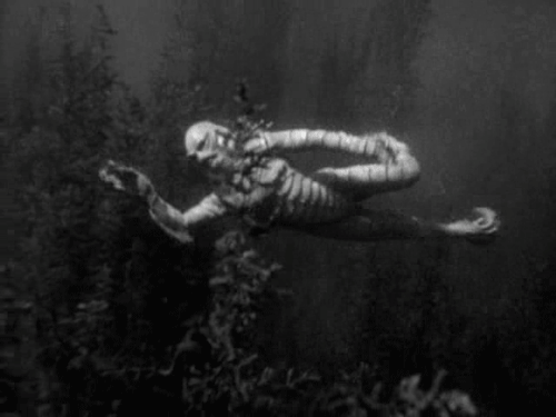 Creature-from-the-Black-Lagoon-monster-movies-36994555-500-375